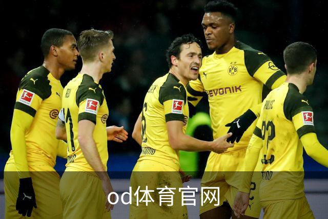 od体育官网公司简介
